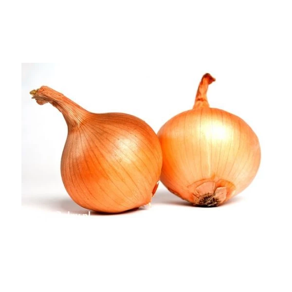 WARZYWA - CEBULA WOREK 10KG POLSKA