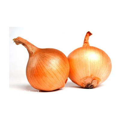 WARZYWA - CEBULA WOREK 10KG POLSKA
