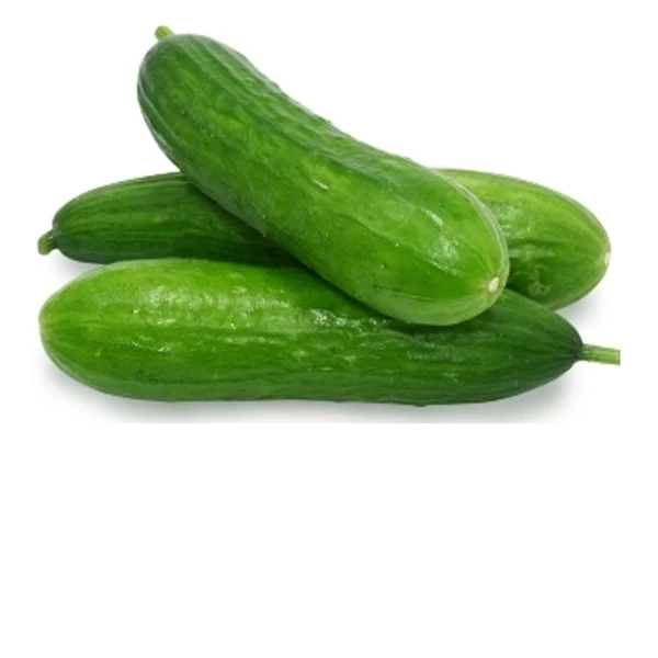 WARZYWA -OGÓREK SZKLARNIOWY 5KG POLSKA