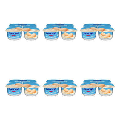 DANONE - JOGURT BISZKOPTOWY 4X120G