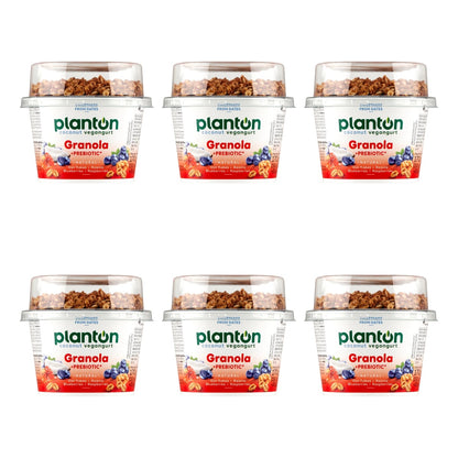 PLANTON BREAKFAST PREBIOTYK GRANOLA 170G (150G+20G)