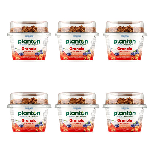 PLANTON BREAKFAST PREBIOTYK GRANOLA 170G (150G+20G)