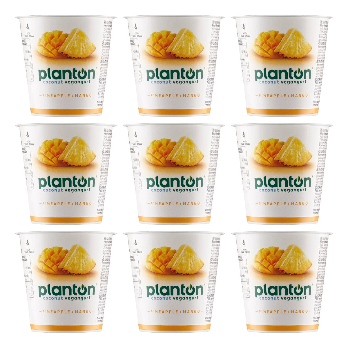 PLANTON ANANAS 150G