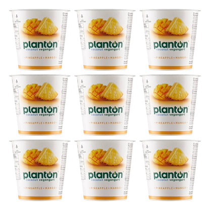 PLANTON ANANAS 150G