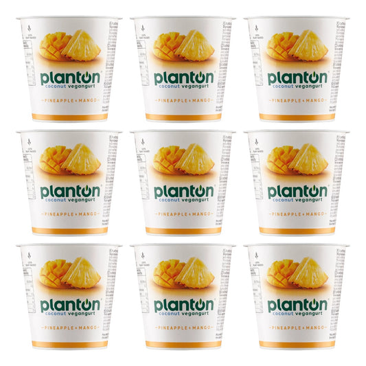PLANTON ANANAS 150G