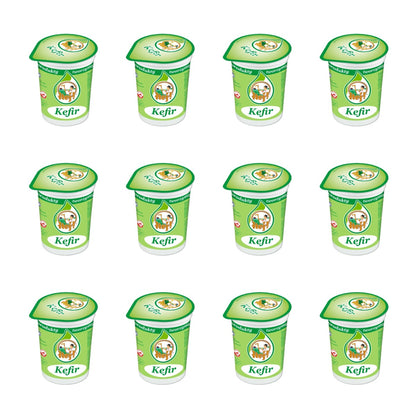 RADOMSKO - HEJ KEFIR 400G